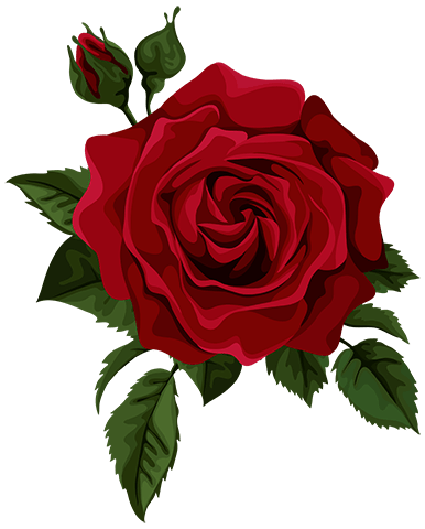 rose